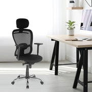 Director Chair