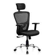 Director Chair