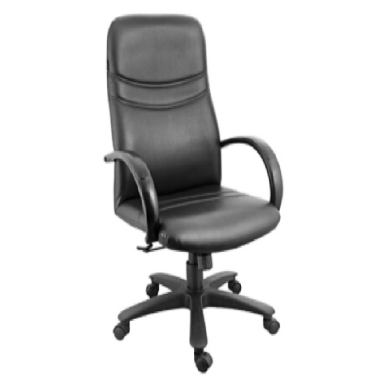 Director Chair