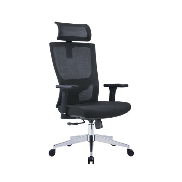 Director Chair