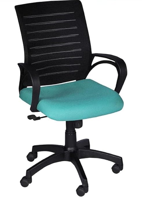 नायलॉन बेस वाली लो बैक एग्जीक्यूटिव चेयर