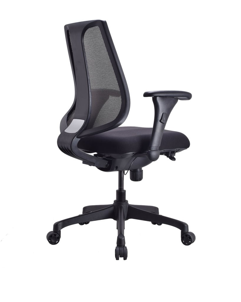 Low Back Executive Office Chair with Nylon Base -