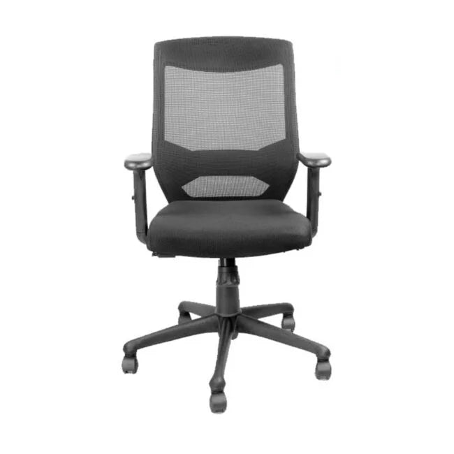 Low Back Executive Office Chair with Nylon Base -