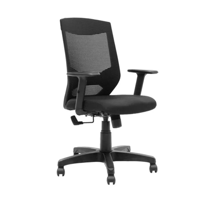Low Back Executive Office Chair with Nylon Base -