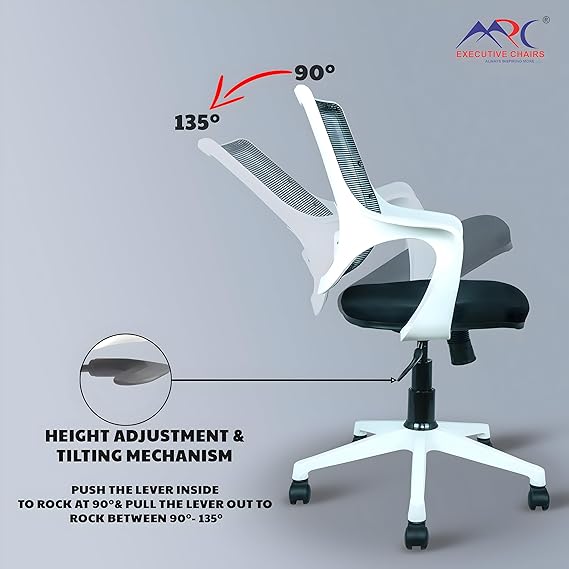 Low Back Executive Office Chair with Nylon Base -