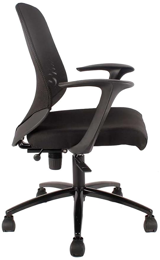 Low Back Executive Office Chair with Nylon Base -