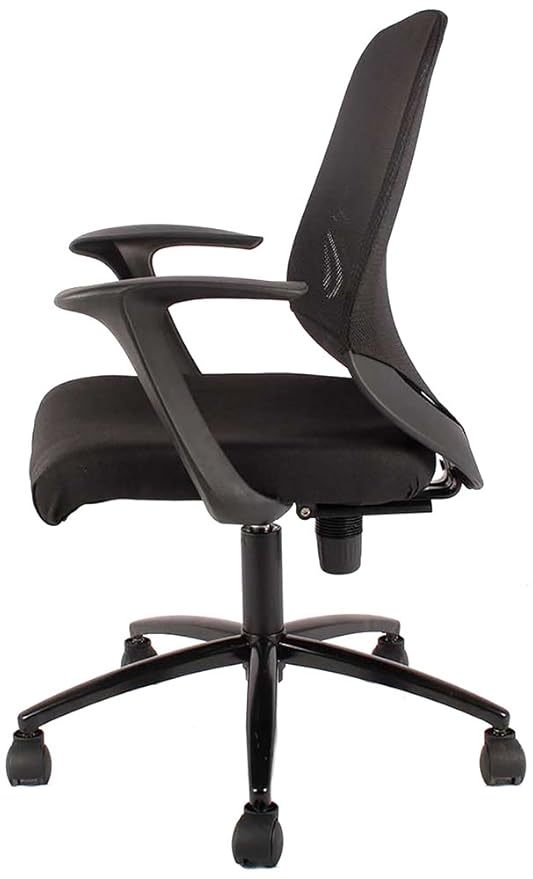 Low Back Executive Office Chair with Nylon Base -