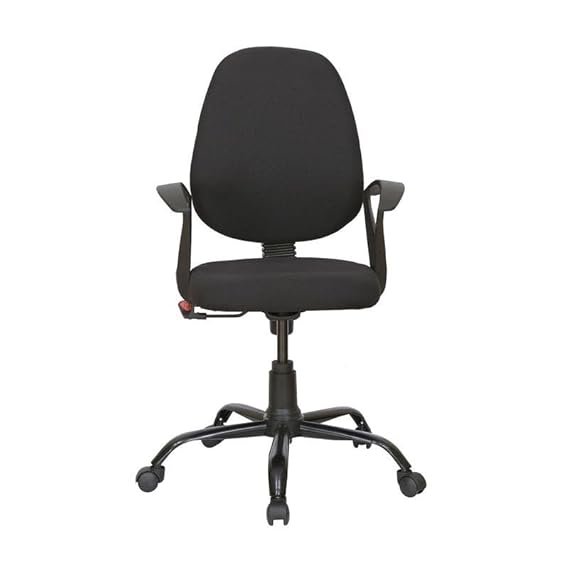 Low Back Executive Office Chair with Nylon Base -