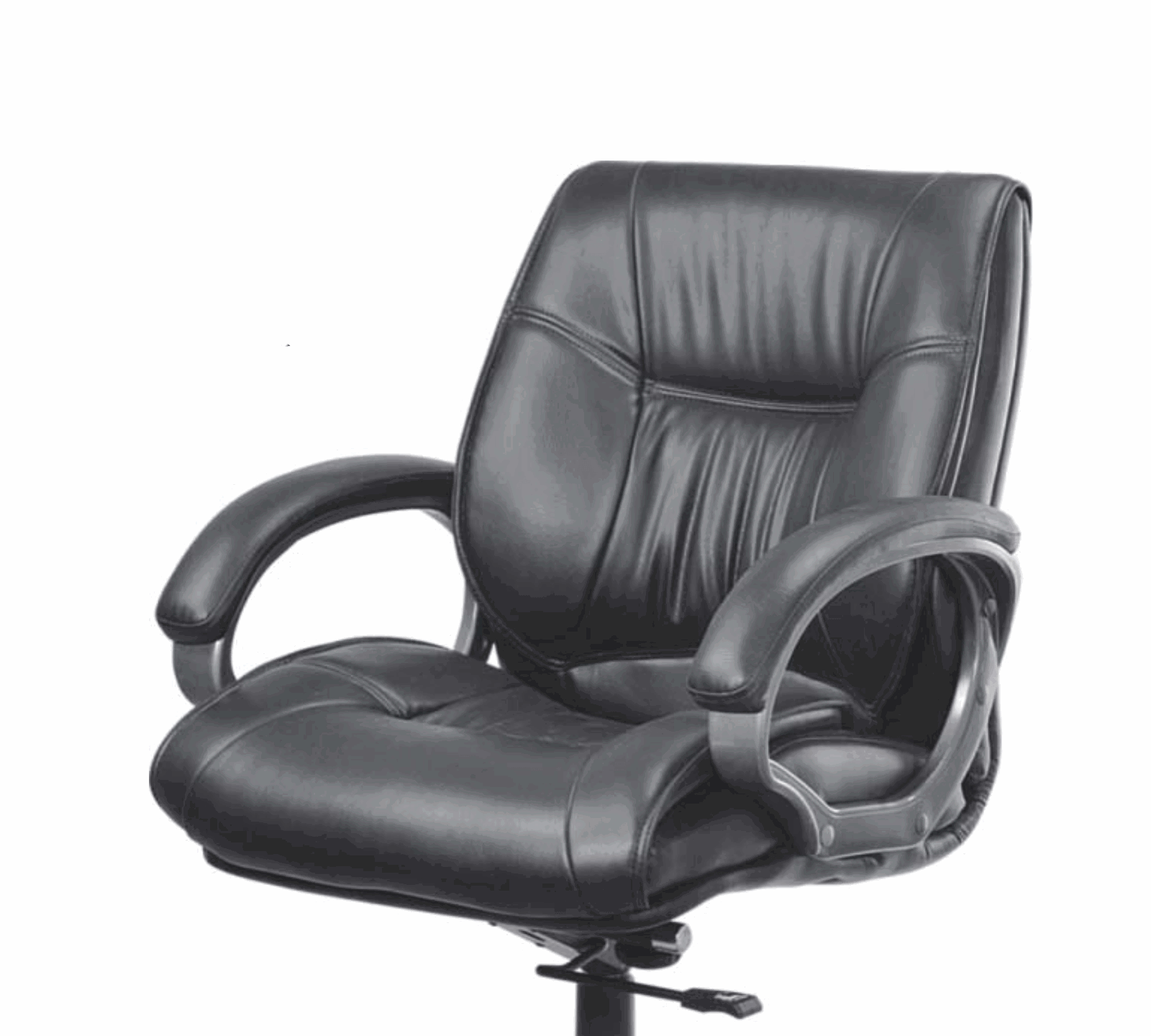 Medium Back Executive Chair with Height Adjustable Aluminum Base -
