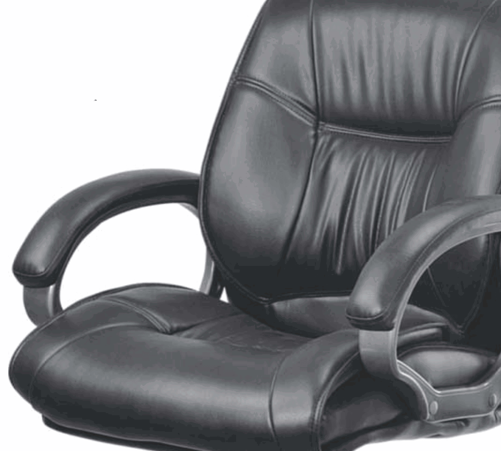 Medium Back Executive Chair with Height Adjustable Aluminum Base -