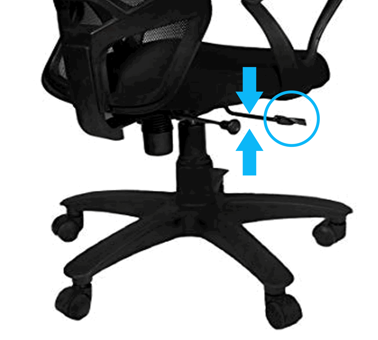 Medium Back Office Executive Mesh Chair with Nylon Base -