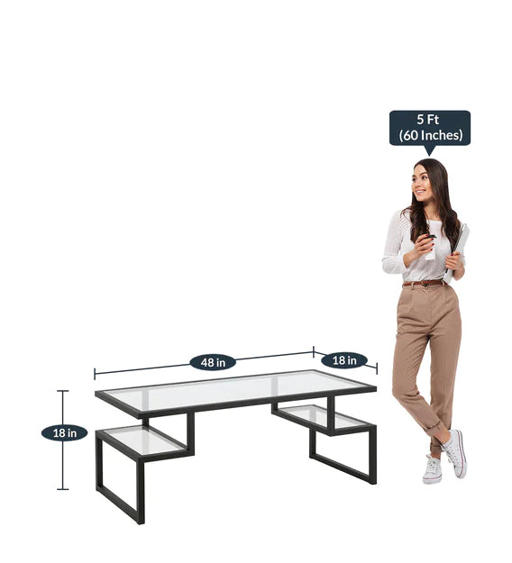 Metal Frame Base Glass Center Coffee Table - Black -