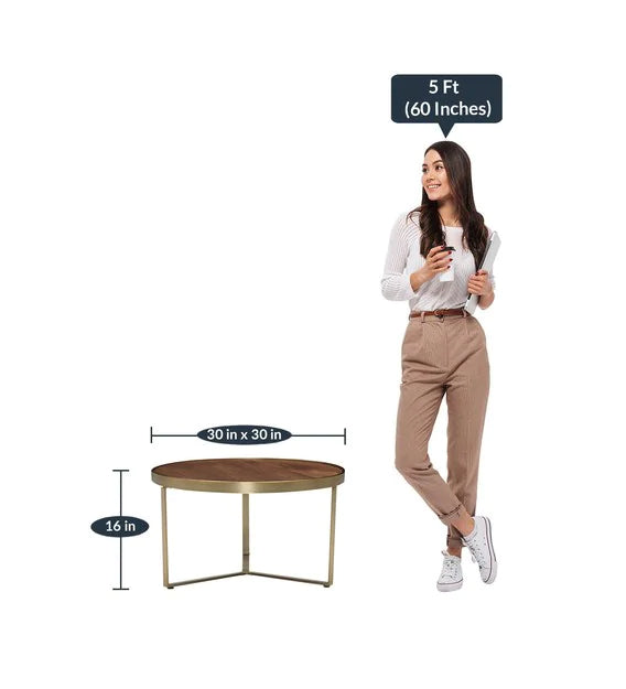 Metal Frame Base Wooden Top Coffee Center Table - Walnut -