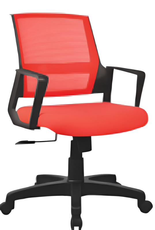 Low Back Executive Office Chair with Nylon Base