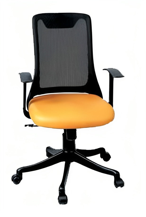 Executive Chair in Low Back with Nylon Base