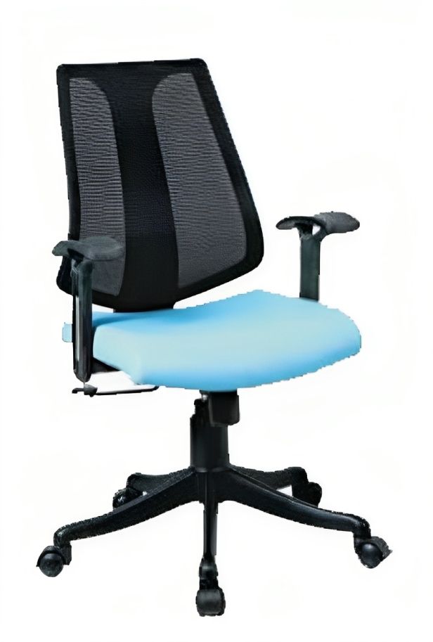Low Back Executive Office Chair with Nylon Base