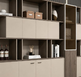 Modern Storage & Display Cabinet with Open Shelves, Concealed Compartments, Smart Organisation and Elegant Executive Design