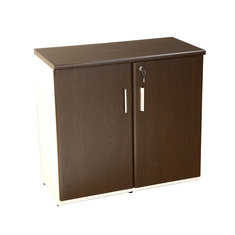 Wooden Storage Cabinet With 2 Openable Door