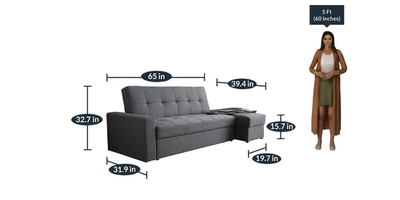 Solid Wooden Frame Fabric Storage Sofa Cum Bed -