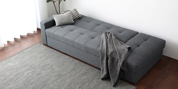 Solid Wooden Frame Fabric Storage Sofa Cum Bed -