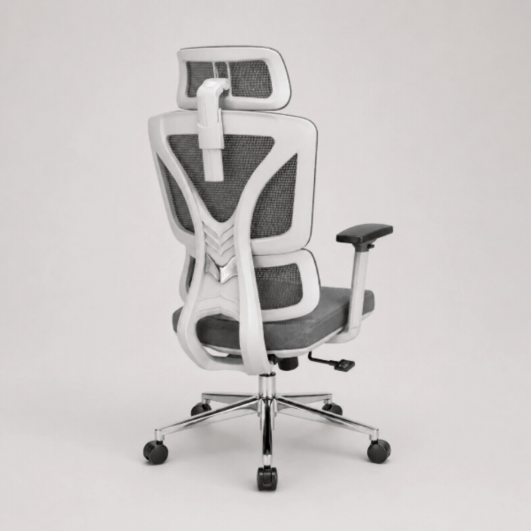 Ergonomic Chairs