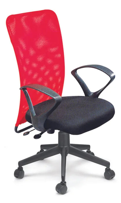 Medium Back Executive Office Chair with Nylon Base