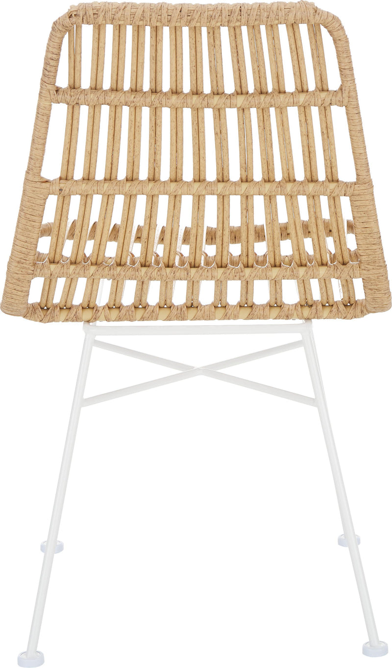 Modern Rattan Outdoor/Indoor Chair