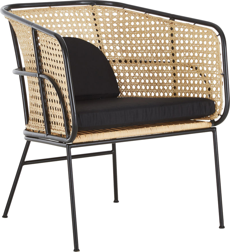 Modern Rattan Arm Chair Living Chair Dining Chair