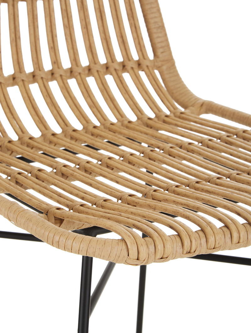 Modern Rattan Outdoor/Indoor Chair